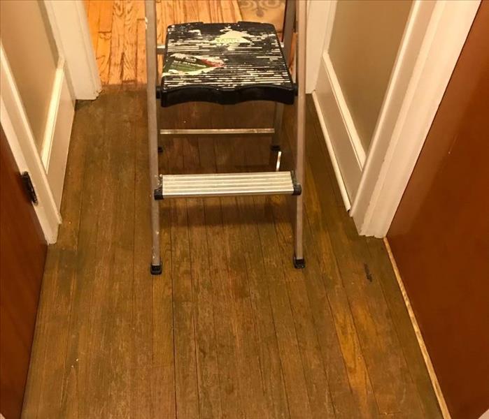 Wood floorboards with water damage and a stepstool